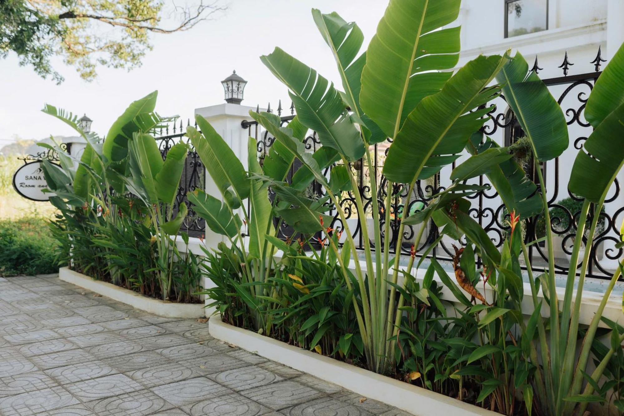 Tam Coc Sana Villa & Homestays Ninh Bình Ngoại thất bức ảnh