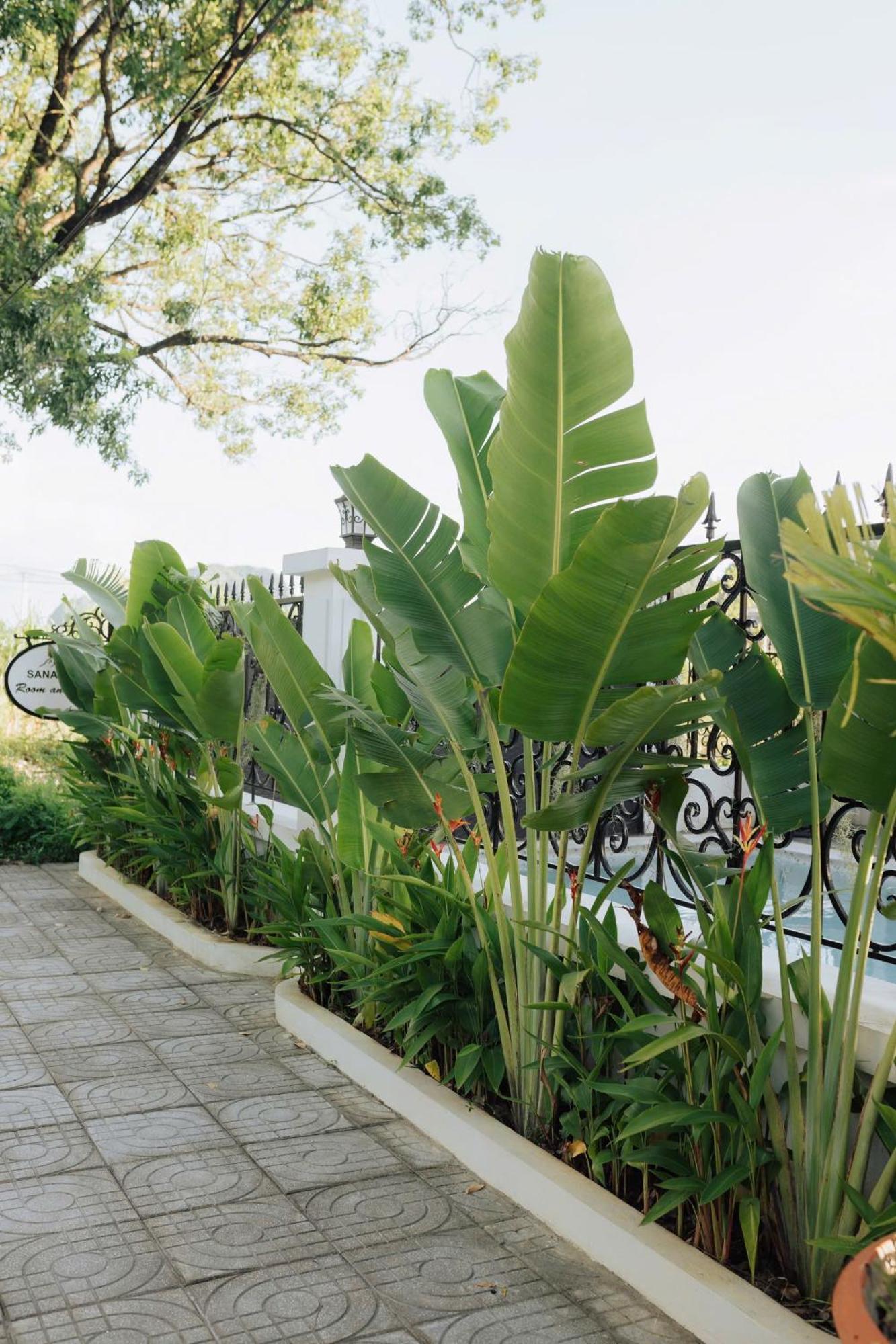 Tam Coc Sana Villa & Homestays Ninh Bình Ngoại thất bức ảnh